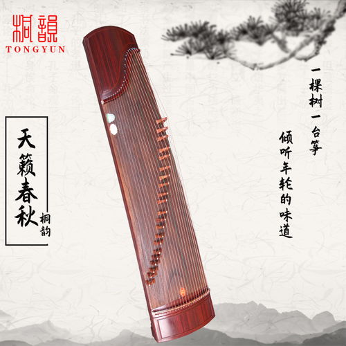 桐韻古箏 從品牌迷思到央視風(fēng)華國(guó)樂的舞臺(tái)見證
